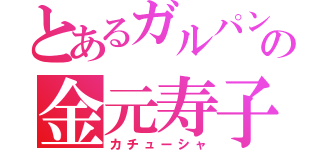 とあるガルパンの金元寿子（カチューシャ）