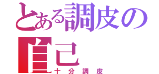 とある調皮の自己（十分調皮）