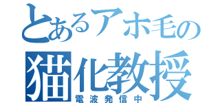 とあるアホ毛の猫化教授（電波発信中）