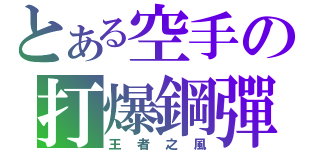 とある空手の打爆鋼彈（王者之風）