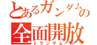 とあるガンダムの全面開放（トランザム）