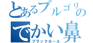 とあるブルゴリのでかい鼻（ブラックホール）