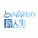 とある高校の新入生（期待の星）