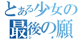 とある少女の最後の願い（シオ）