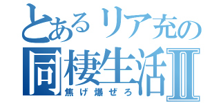 とあるリア充の同棲生活Ⅱ（焦げ爆ぜろ）