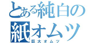 とある純白の紙オムツ（巨大オムツ）