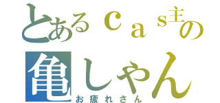 とあるｃａｓ主の亀しゃん（お疲れさん）