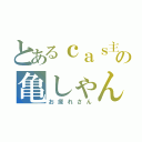 とあるｃａｓ主の亀しゃん（お疲れさん）