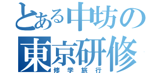 とある中坊の東京研修（修学旅行）