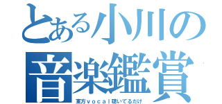 とある小川の音楽鑑賞（東方ｖｏｃａｌ聴いてるだけ）