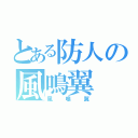 とある防人の風鳴翼（風鳴翼）