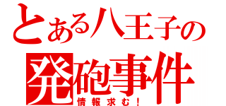 とある八王子の発砲事件（情報求む！）