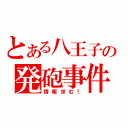 とある八王子の発砲事件（情報求む！）