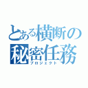 とある横断の秘密任務（プロジェクト）