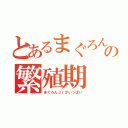 とあるまぐろん先輩の繁殖期（まぐろんＪｒがいっぱい）