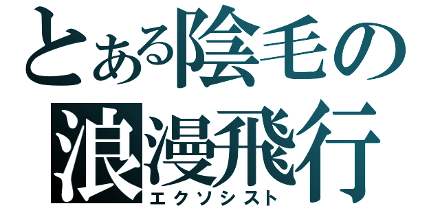 とある陰毛の浪漫飛行（エクソシスト）