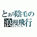 とある陰毛の浪漫飛行（エクソシスト）