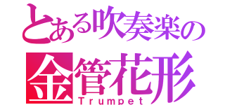 とある吹奏楽の金管花形（Ｔｒｕｍｐｅｔ）