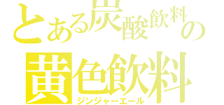 とある炭酸飲料の黄色飲料（ジンジャーエール）