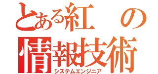 とある紅の情報技術者（システムエンジニア）