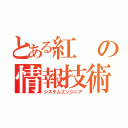 とある紅の情報技術者（システムエンジニア）