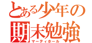 とある少年の期末勉強（マーティホール）