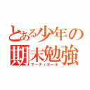 とある少年の期末勉強（マーティホール）