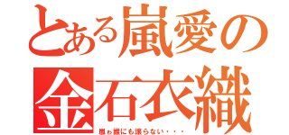 とある嵐愛の金石衣織（嵐ゎ誰にも譲らない・・・）