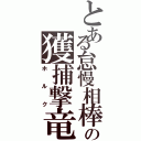 とある怠慢相棒の獲捕撃竜（ホルク）