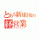 とある新球団の経営業（マネジメント）