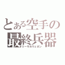 とある空手の最終兵器（リーサルウェポン）