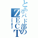 とあるバド部のＺＥＣＴです（とにかく謎だらけ）