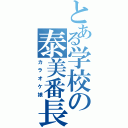 とある学校の泰美番長（カラオケ娘）