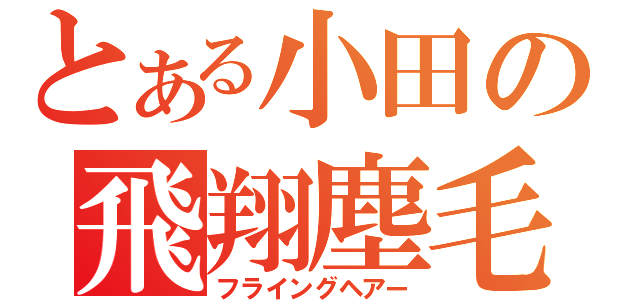 とある小田の飛翔塵毛（フライングヘアー）