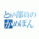 とある部員のかめぽん（）