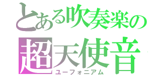 とある吹奏楽の超天使音（ユーフォニアム）