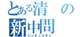 とある清の新中問（シンチュウモン）