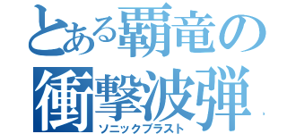 とある覇竜の衝撃波弾（ソニックブラスト）