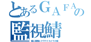 とあるＧＡＦＡの監視鯖（個人情報とクラウドカメラが紐）