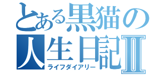 とある黒猫の人生日記Ⅱ（ライフダイアリー）