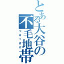 とある大谷の不毛地帯（つるっぱげ）