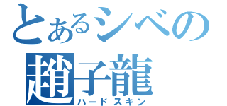 とあるシベの趙子龍（ハードスキン）