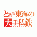 とある東海の大手私鉄（エクスプレス）