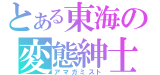 とある東海の変態紳士（アマガミスト）