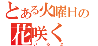 とある火曜日の花咲く（いろは）