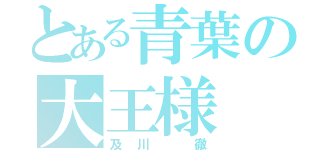 とある青葉の大王様（及川 徹）