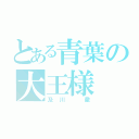 とある青葉の大王様（及川 徹）