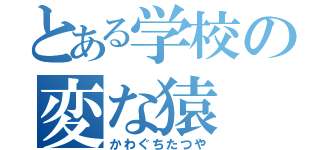 とある学校の変な猿（かわぐちたつや）