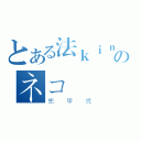 とある法ｋｉｎｇ道格のネコ（兜甲児）