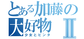 とある加藤の大好物Ⅱ（少女とビンタ）